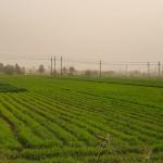 Bayad Al Arab Holy Family Boutique Hotel