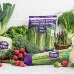 Queen Fresh Produce