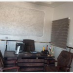 Brown Horse Animal Feed