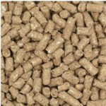 Brown Horse Animal Feed