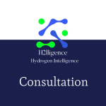 Green Hydrogen Consulting for MENA region