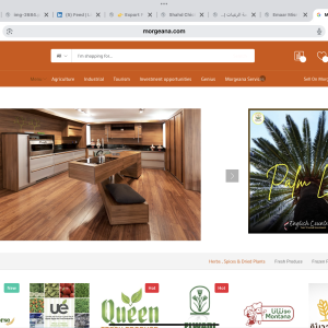 🌍 Why Morgeana? Your Trusted Gateway to Egyptian and African Exports