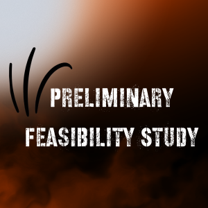 🛒 Preliminary Feasibility Study