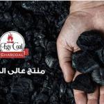 Egycoal