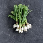 Fresh green onion