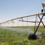 Integrated Agro-Processing & Storage Complex