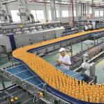 Integrated Agro-Processing & Storage Complex