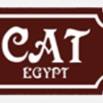 Cat Egypt
