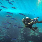 Mazen Said – Creative Director & Cinematic Filmmaker