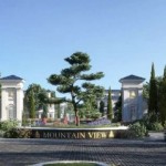 Mountain View for Development and Real Estate Investment