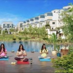 Mountain View for Development and Real Estate Investment