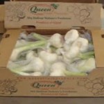 Queen Fresh Produce