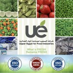 Upper Egypt for Export