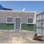 Brown Horse Animal Feed