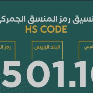 📘 Egypt Customs HS Codes Guide
