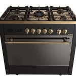 Fresh Professional Gold Gas Cooker