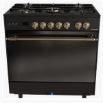 Fresh Professional Gold Gas Cooker