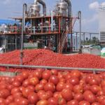 Integrated Agro-Processing & Storage Complex