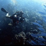 Mazen Said – Creative Director & Cinematic Filmmaker