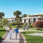 Palm Hills Developments